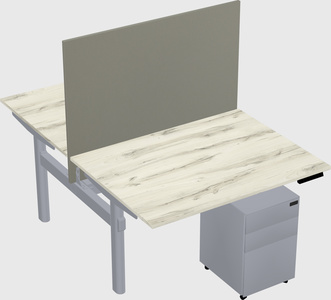 Shared electric desk