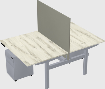 Shared electric desk