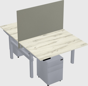Shared electric desk
