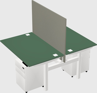 Shared electric desk