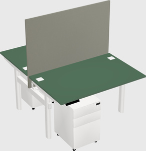 Shared electric desk