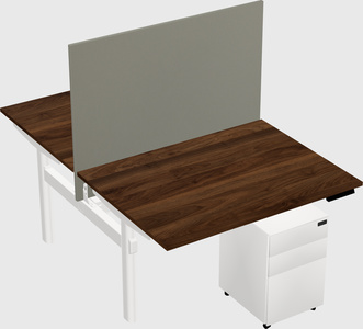 Shared electric desk