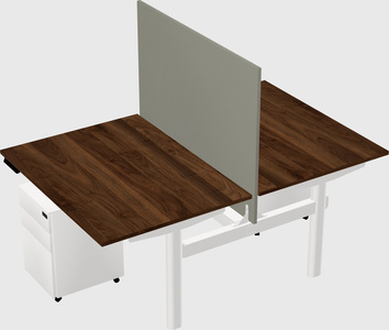 Shared electric desk