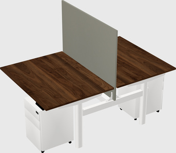 Shared electric desk