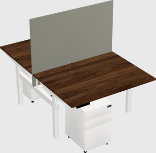 Shared electric desk