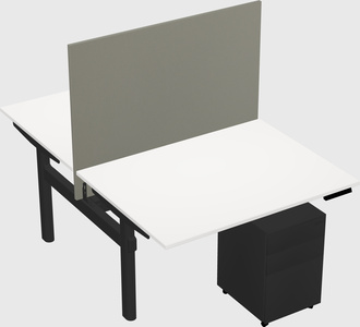 Shared electric desk