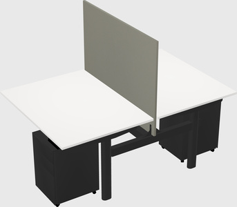Shared electric desk