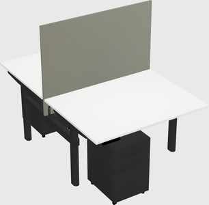 Shared electric desk