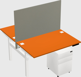 Shared electric desk
