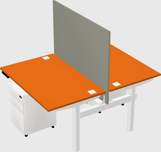 Shared electric desk