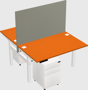 Shared electric desk