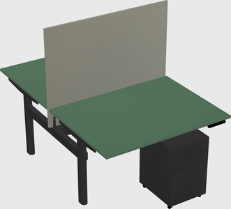 Shared electric desk