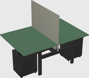 Shared electric desk