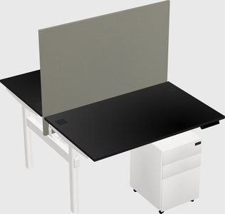 Shared electric desk