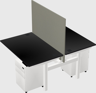 Shared electric desk