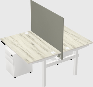 Shared electric desk
