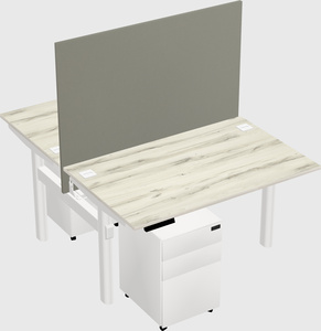 Shared electric desk