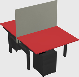 Shared electric desk