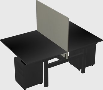 Shared electric desk