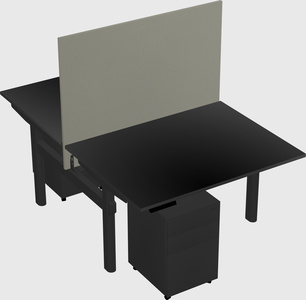 Shared electric desk