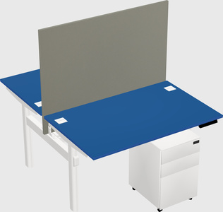 Shared electric desk