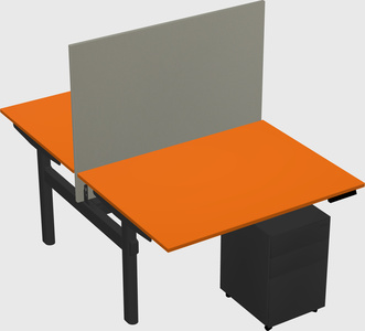Shared electric desk