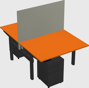 Shared electric desk