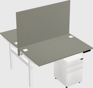 Shared electric desk