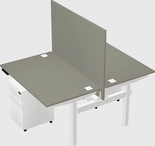 Shared electric desk
