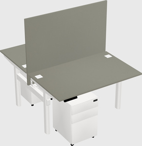 Shared electric desk