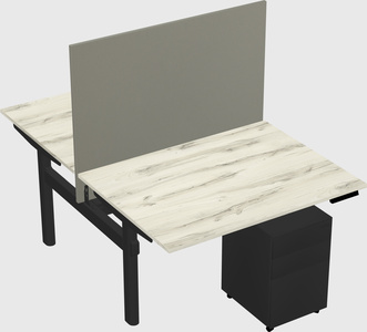 Shared electric desk
