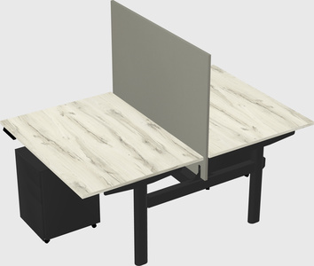 Shared electric desk