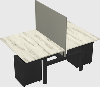 Shared electric desk
