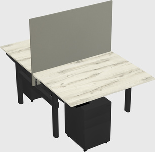 Shared electric desk