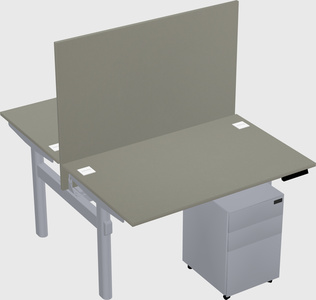 Shared electric desk