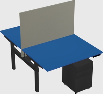 Shared electric desk
