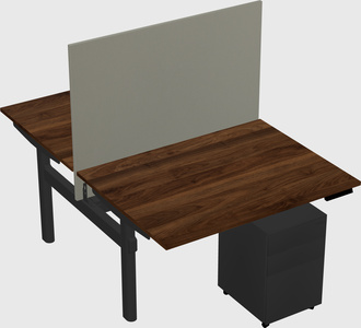 Shared electric desk