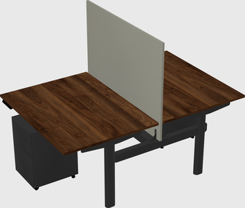 Shared electric desk