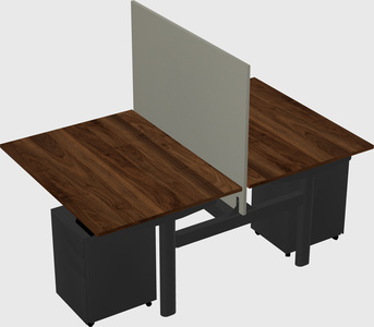 Shared electric desk