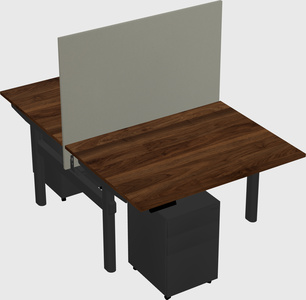 Shared electric desk