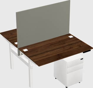 Shared electric desk
