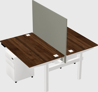 Shared electric desk