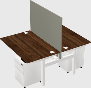Shared electric desk