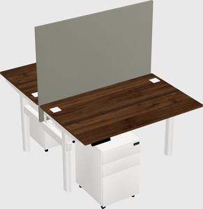 Shared electric desk