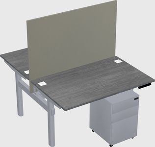 Shared electric desk