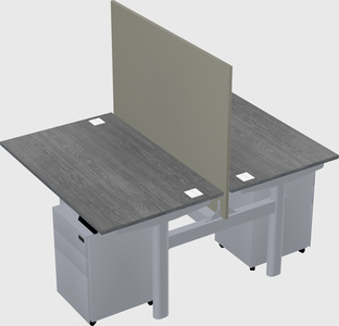 Shared electric desk
