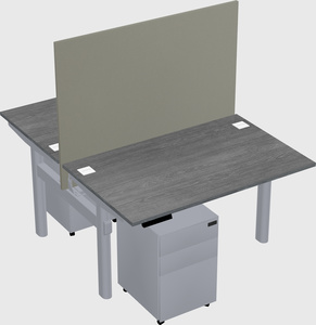 Shared electric desk