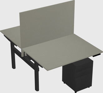 Shared electric desk