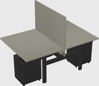 Shared electric desk