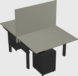 Shared electric desk